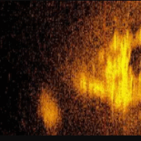 Deep Sea Vision Thinks They Found Amelia Earhart’s Plane