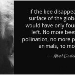 The Real Reason Europeans Invented That Einstein Quote About Bees – Money