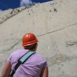 So Dinosaurs Can Climb Walls Now?