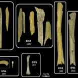 Neanderthals Resorted To Cannibalism – Just Like European Settlers At Jamestown