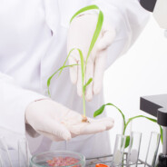 Russia Loves Science When It Comes To Cheating In Sports, But Not In Food