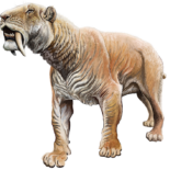 Smilodon North of the 49th Parallel
